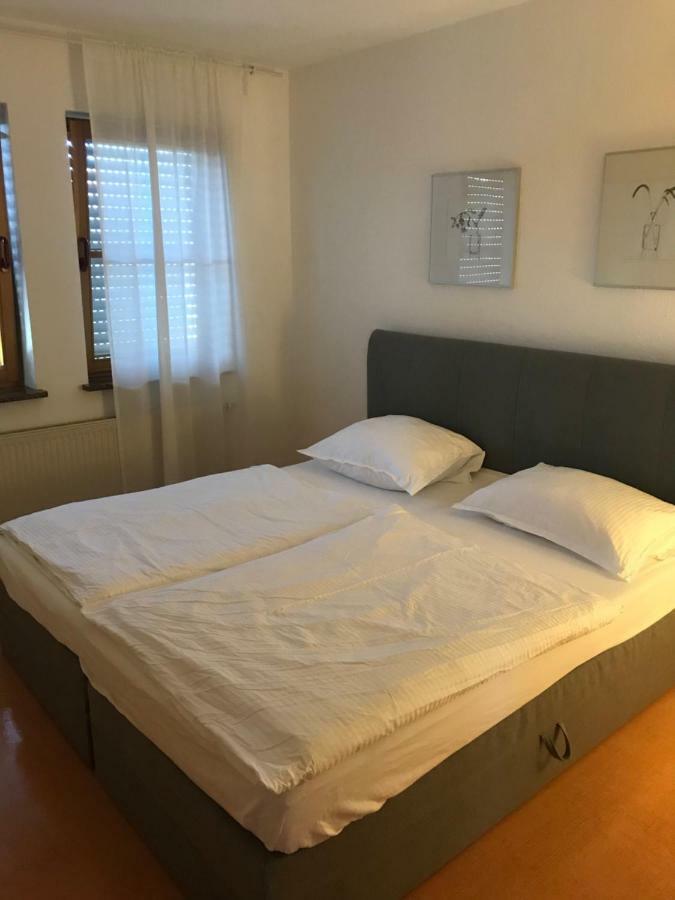 Apartment Roxheim Kültér fotó